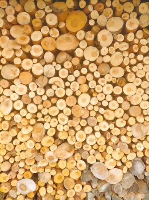 El Telar Arte Y Naturaleza Pradena Ngoại thất bức ảnh