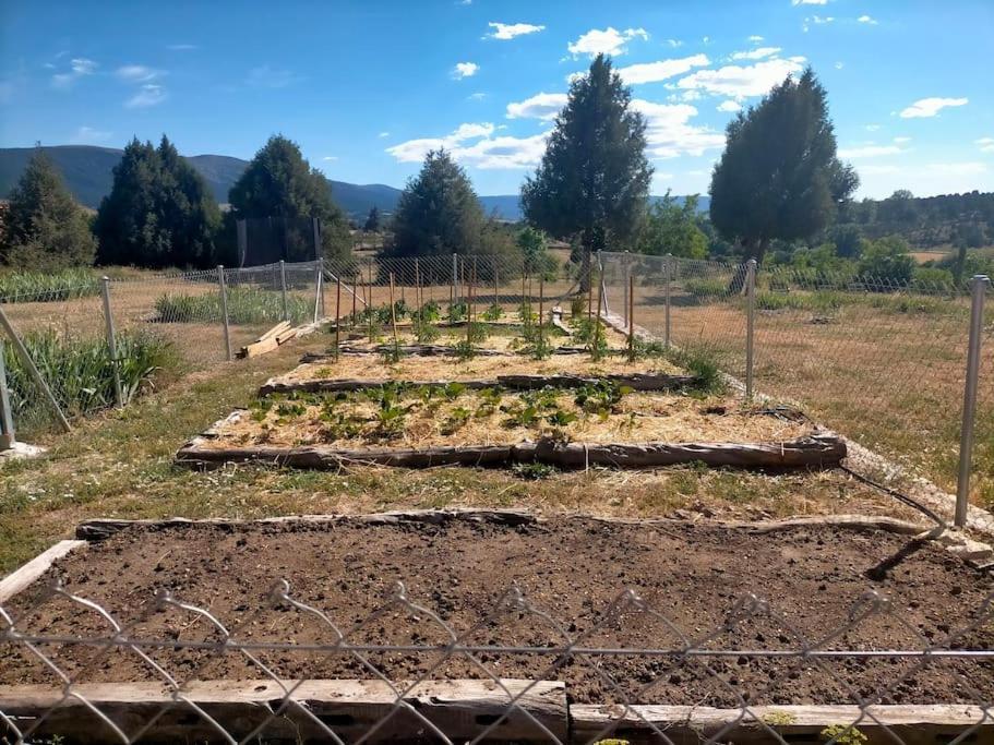 El Telar Arte Y Naturaleza Pradena Ngoại thất bức ảnh